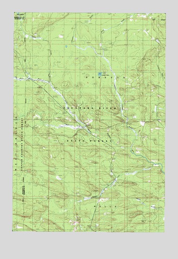 Northland NE, MI USGS Topographic Map