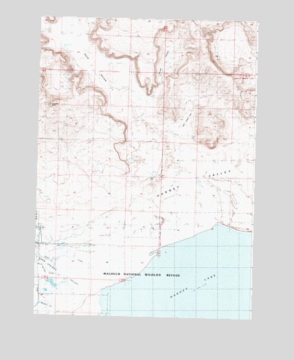 Northwest Harney Lake, OR USGS Topographic Map