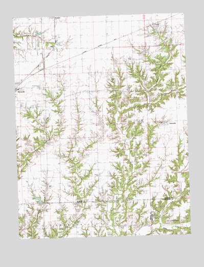 Nortonville, IL USGS Topographic Map