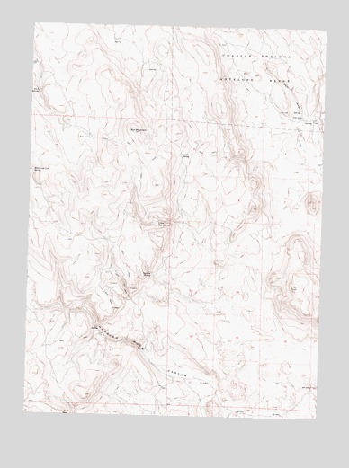 Nut Mountain, NV USGS Topographic Map