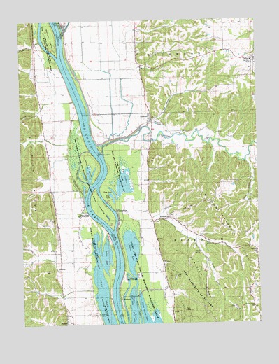 Nutwood, IL USGS Topographic Map
