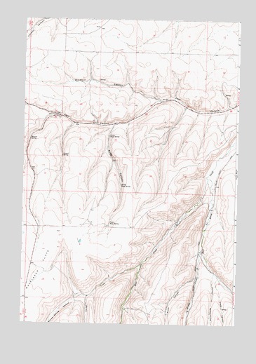 Nye, OR USGS Topographic Map