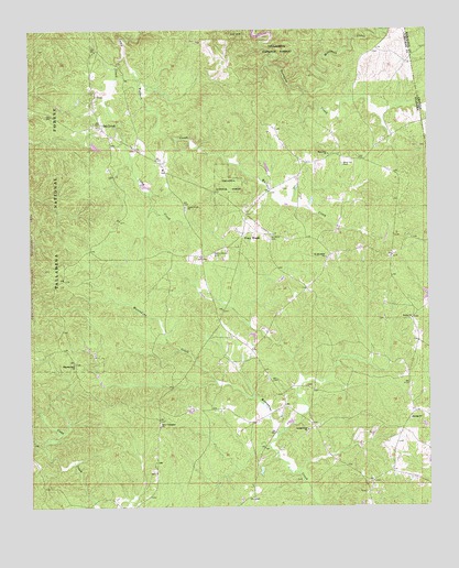Oak Level, AL USGS Topographic Map