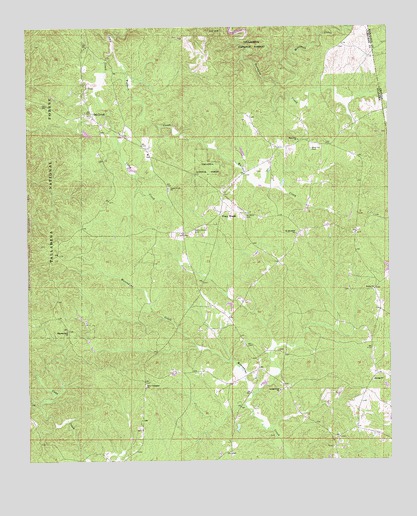 Oak Level, AL USGS Topographic Map