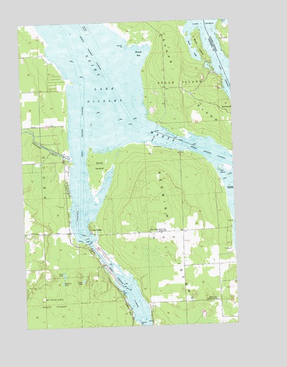 Oak Ridge, MI USGS Topographic Map