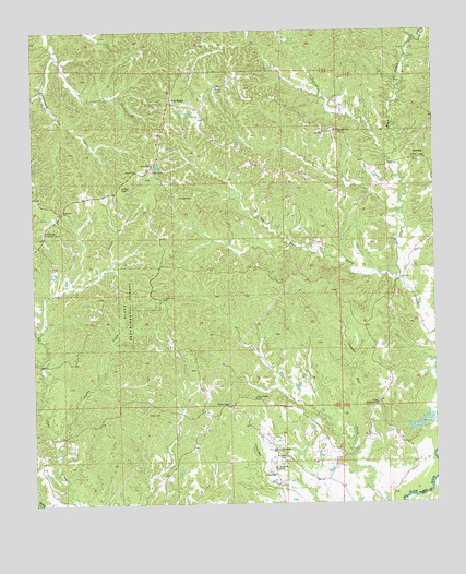 Oak Ridge, MS USGS Topographic Map