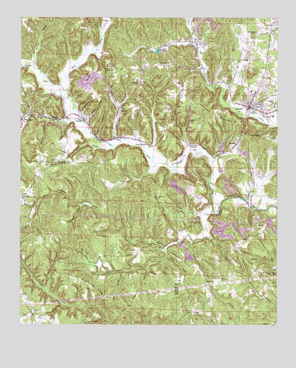 Oakman, AL USGS Topographic Map