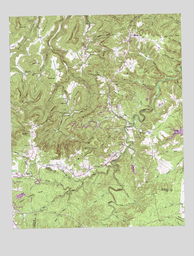 Obey City, TN USGS Topographic Map