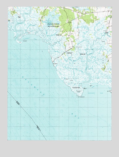 Ben Davis Point, NJ USGS Topographic Map