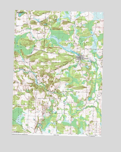 Ogdensburg, WI USGS Topographic Map