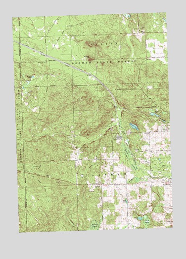 Ogemaw Springs, MI USGS Topographic Map