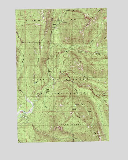 Ohanapecosh Hot Springs, WA USGS Topographic Map