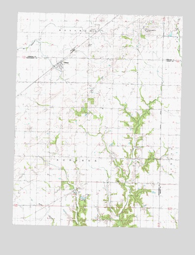 Ohlman, IL USGS Topographic Map