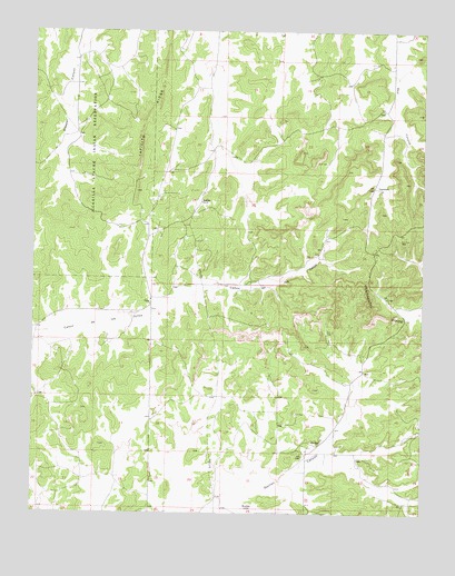 Ojito, NM USGS Topographic Map