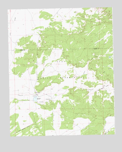Ojo Caliente Reservoir, NM USGS Topographic Map
