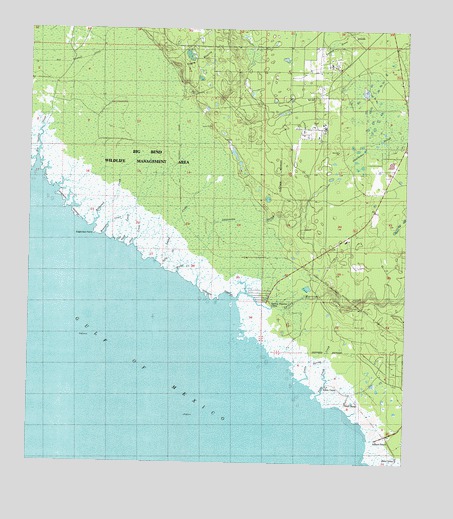 Okefenokee Slough, FL USGS Topographic Map