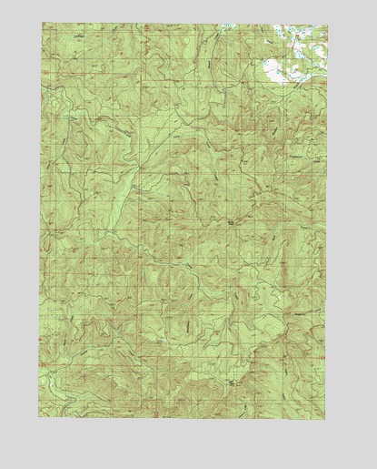Old Blue, OR USGS Topographic Map