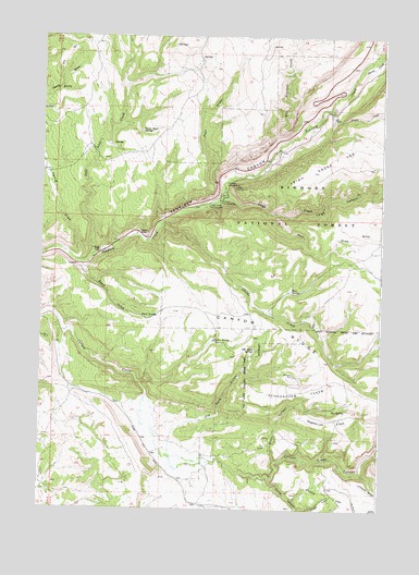 Old Maid Gulch, WY USGS Topographic Map