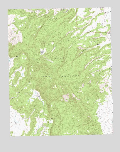 Old Pine Spring, NM USGS Topographic Map