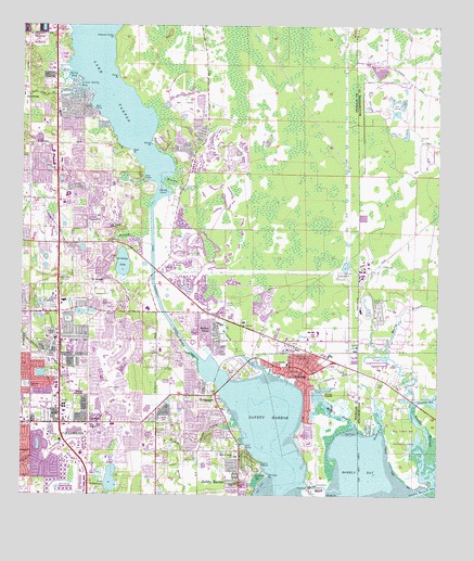 Oldsmar, FL USGS Topographic Map