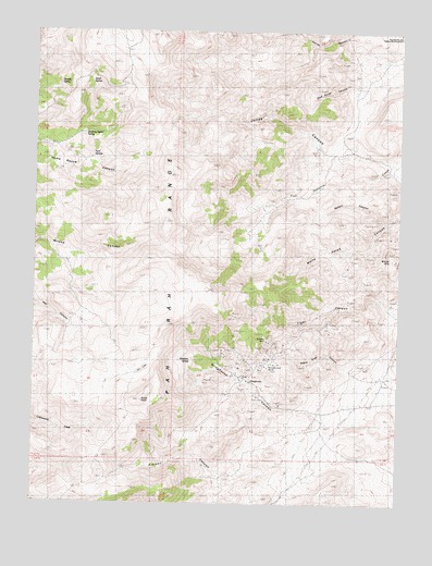 Olinghouse, NV USGS Topographic Map