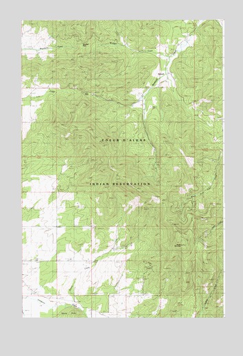 Benewah, ID USGS Topographic Map