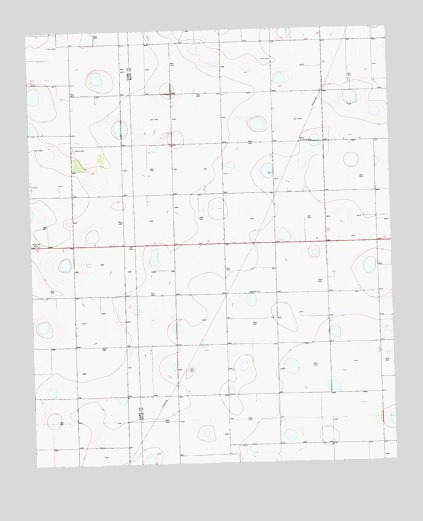 Olton NE, TX USGS Topographic Map