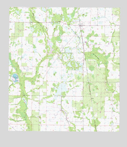 Ona, FL USGS Topographic Map