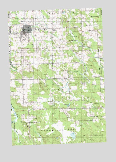 Onaway, MI USGS Topographic Map