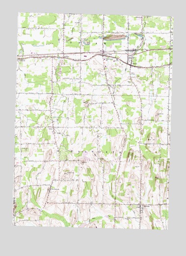 Ontario, NY USGS Topographic Map
