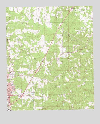 Opelika East, AL USGS Topographic Map