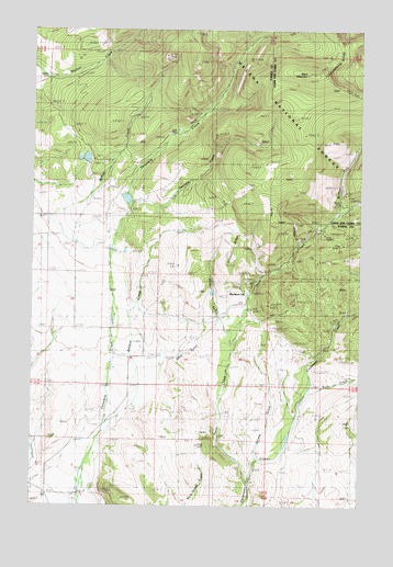 Ophir Creek, MT USGS Topographic Map