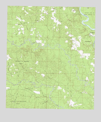 Benndale, MS USGS Topographic Map