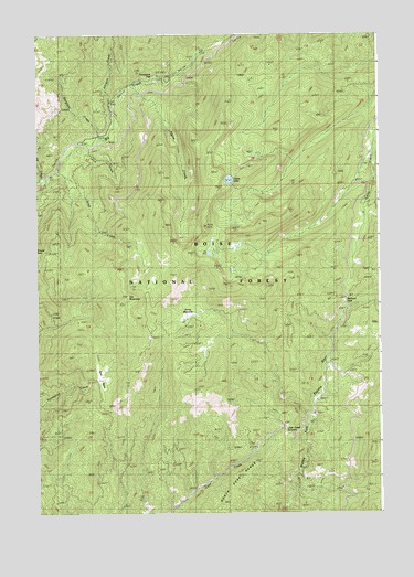 Oro Mountain, ID USGS Topographic Map
