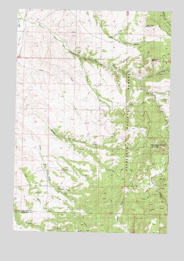 Orofino Mountain, MT USGS Topographic Map