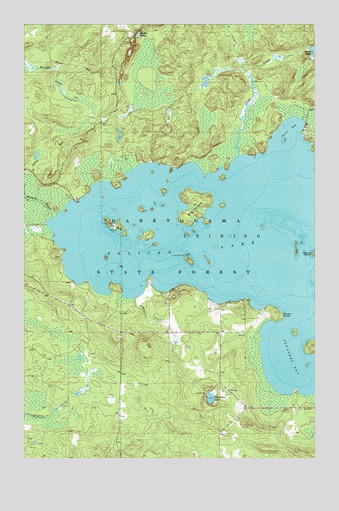 Orr SW, MN USGS Topographic Map