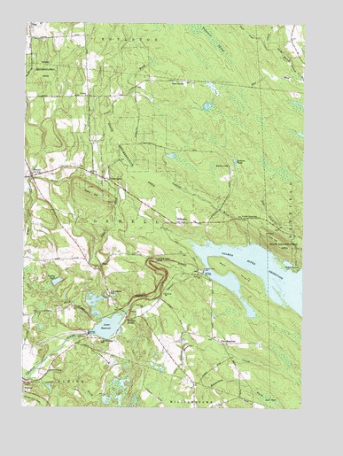 Orwell, NY USGS Topographic Map