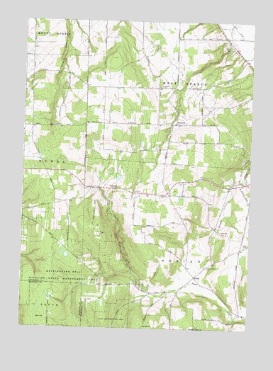 Ossian, NY USGS Topographic Map