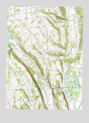 Otisco Valley, NY USGS Topographic Map