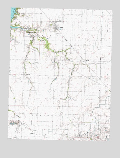 Owaneco, IL USGS Topographic Map