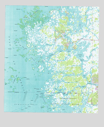 Ozello, FL USGS Topographic Map