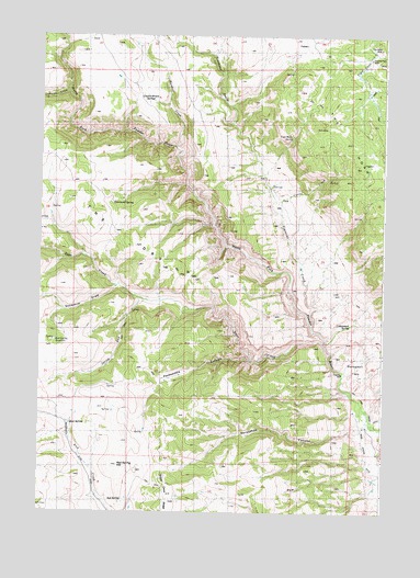 Packsaddle Canyon, WY USGS Topographic Map