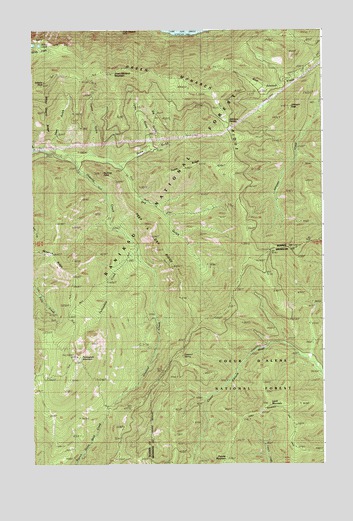 Packsaddle Mountain, ID USGS Topographic Map