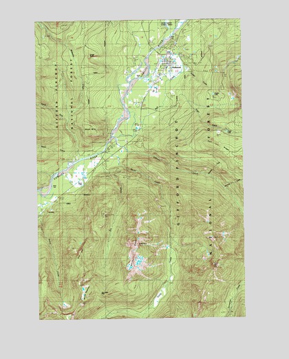 Packwood, WA USGS Topographic Map