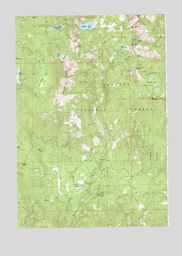 Paddy Flat, ID USGS Topographic Map