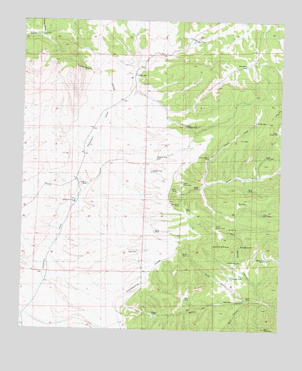 Paddys Hole, NM USGS Topographic Map
