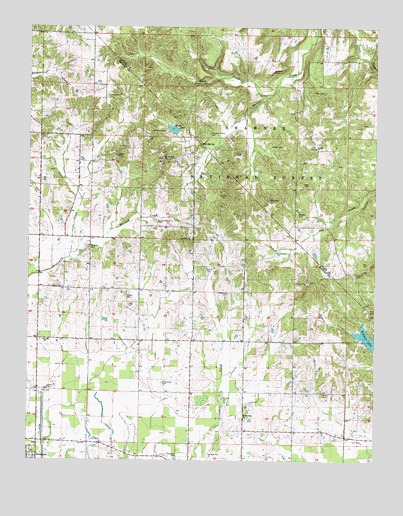 Paducah NE, IL USGS Topographic Map