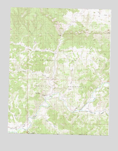 Pagosa Junction, CO USGS Topographic Map