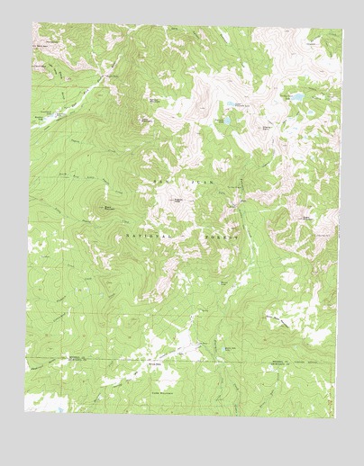 Pagosa Peak, CO USGS Topographic Map