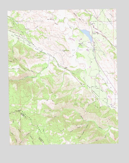 Paicines, CA USGS Topographic Map